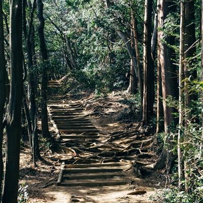 动物一败涂地游戏(暂未上线)v1.0.0 安卓版